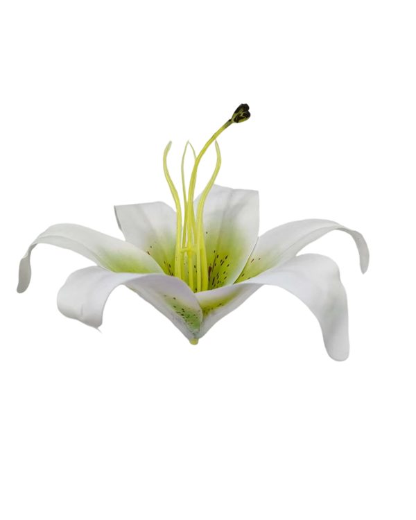 ab30b0311baf05a84ecaf6a6e3af27c3