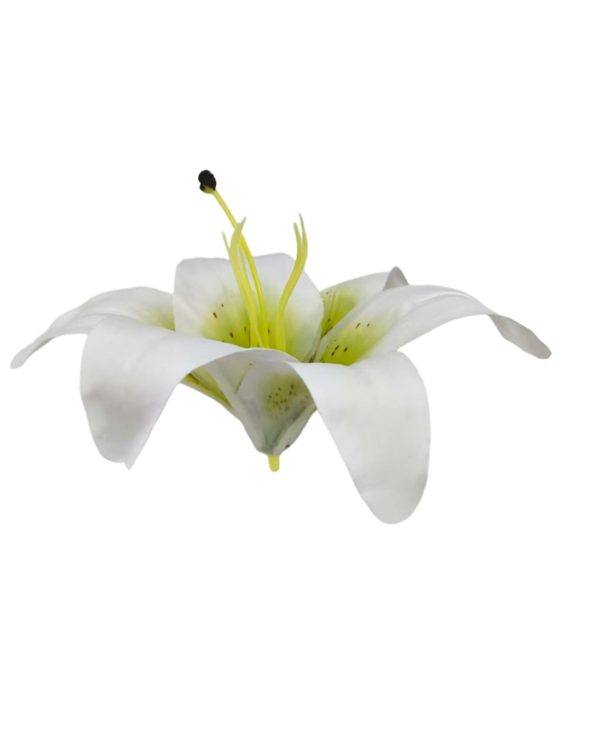 8efbd73c21054fa1b0b69fe29c535452