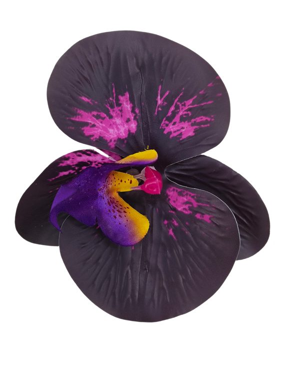 144ec2e0a29509956983ef299731493a