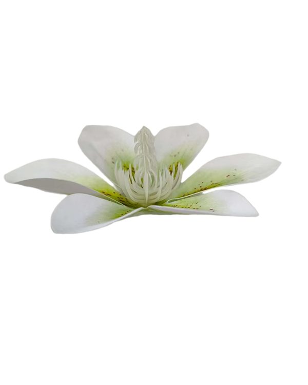 61fb440542d8a40acebd066eb6169ad3