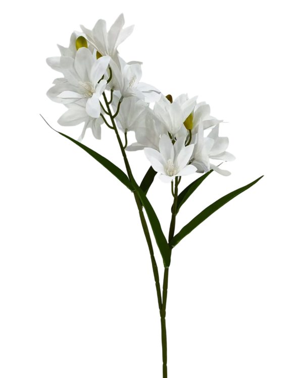 6271f052c87cdc6a1f630602c5e8bda4