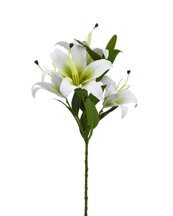 acfc488fe8ad93077fd1f9811c2aaf0e