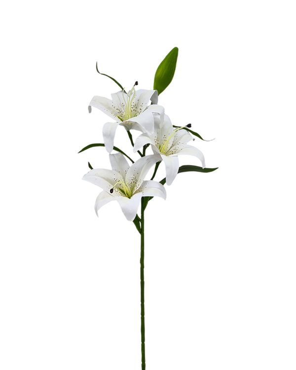 e6943db0f0443e31e20eb89478efb072