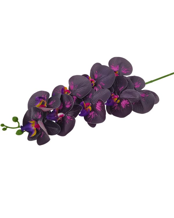 151c4137068abd55a4dc8783f0b868fc