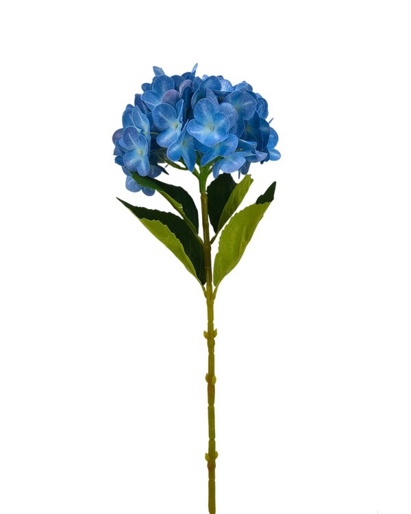 598e46345ec94332c81d64916134208e