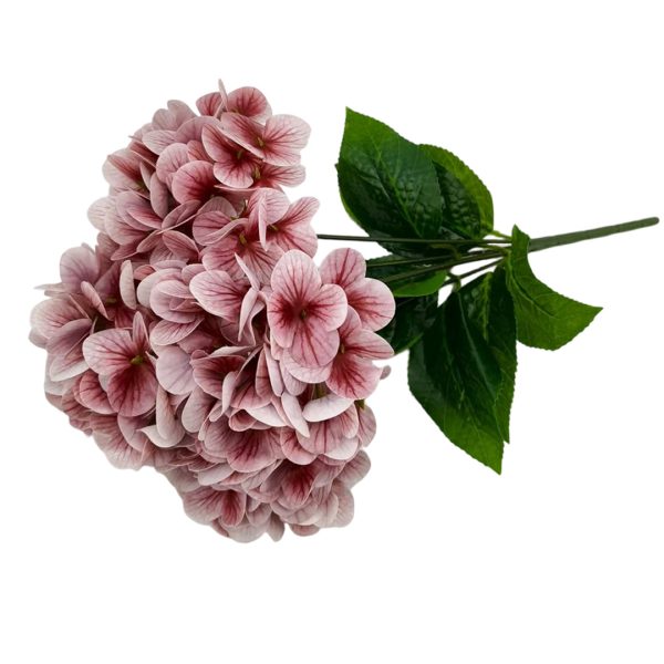 5e672e52e848c24d13b74fc905a36f72