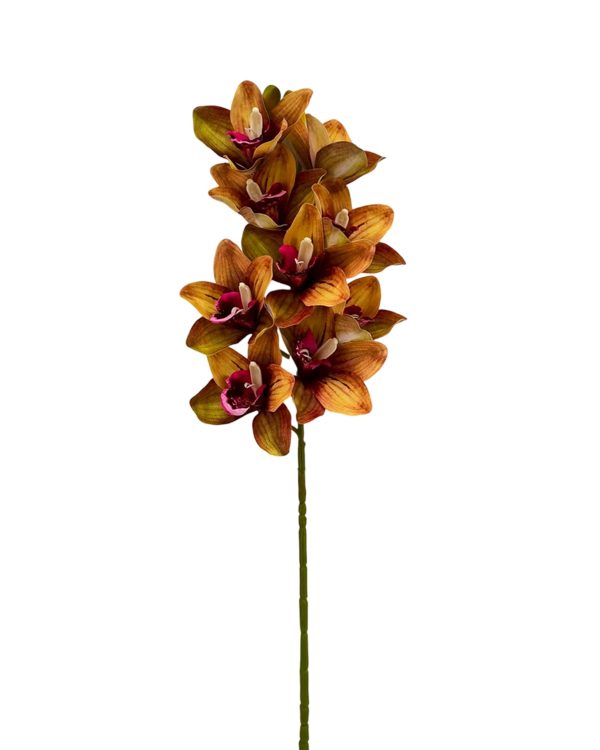 eeb14a576b4d000336942b5628e95759