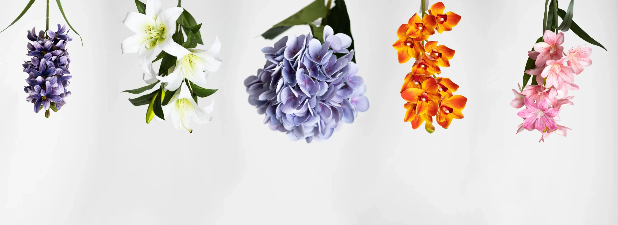 Darmowa dostawa od Ginko Kwiaty