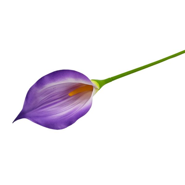 Pojedyncza kalia 60 cm